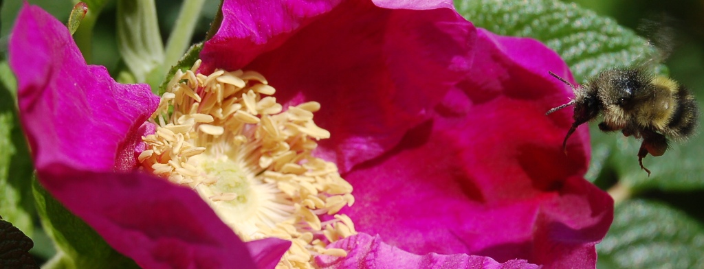 texafied--musings on the human heart